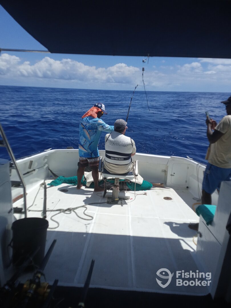 Le Morne Report Photo 0