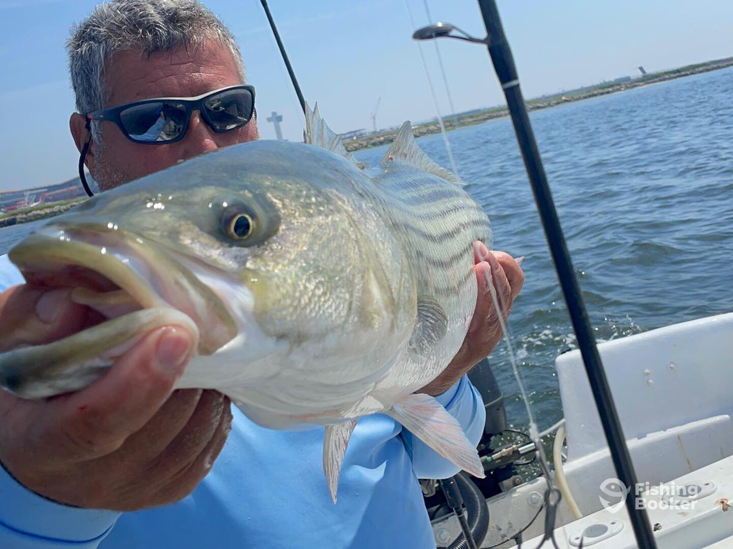 New York City Report Photo 0