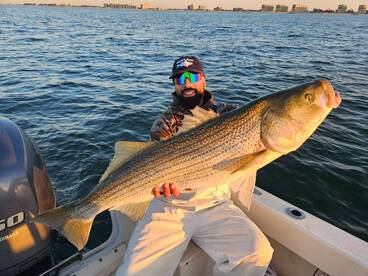 New York City Report Photo 2