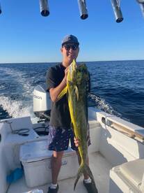 San Jose del Cabo Report Photo 1