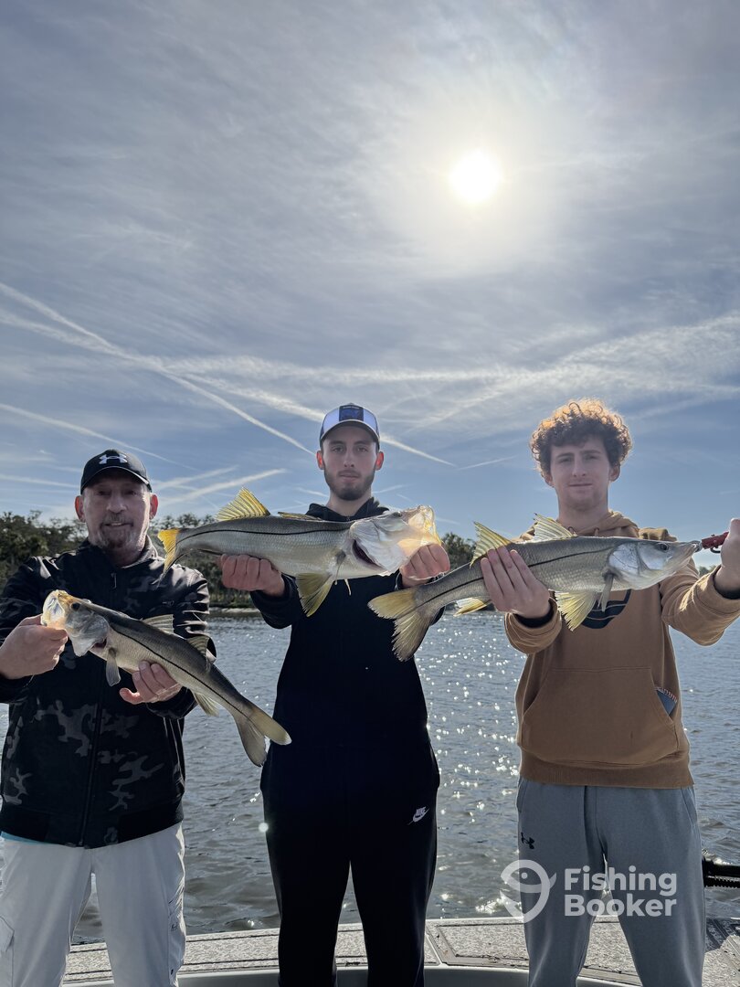 Gibsonton Report Photo 0