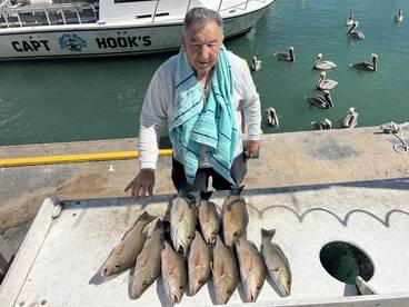 Winter time feeding frenzy!