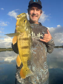 Toa Alta Report Photo 3