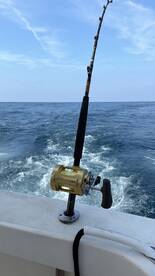 Colombia Report Photo 2