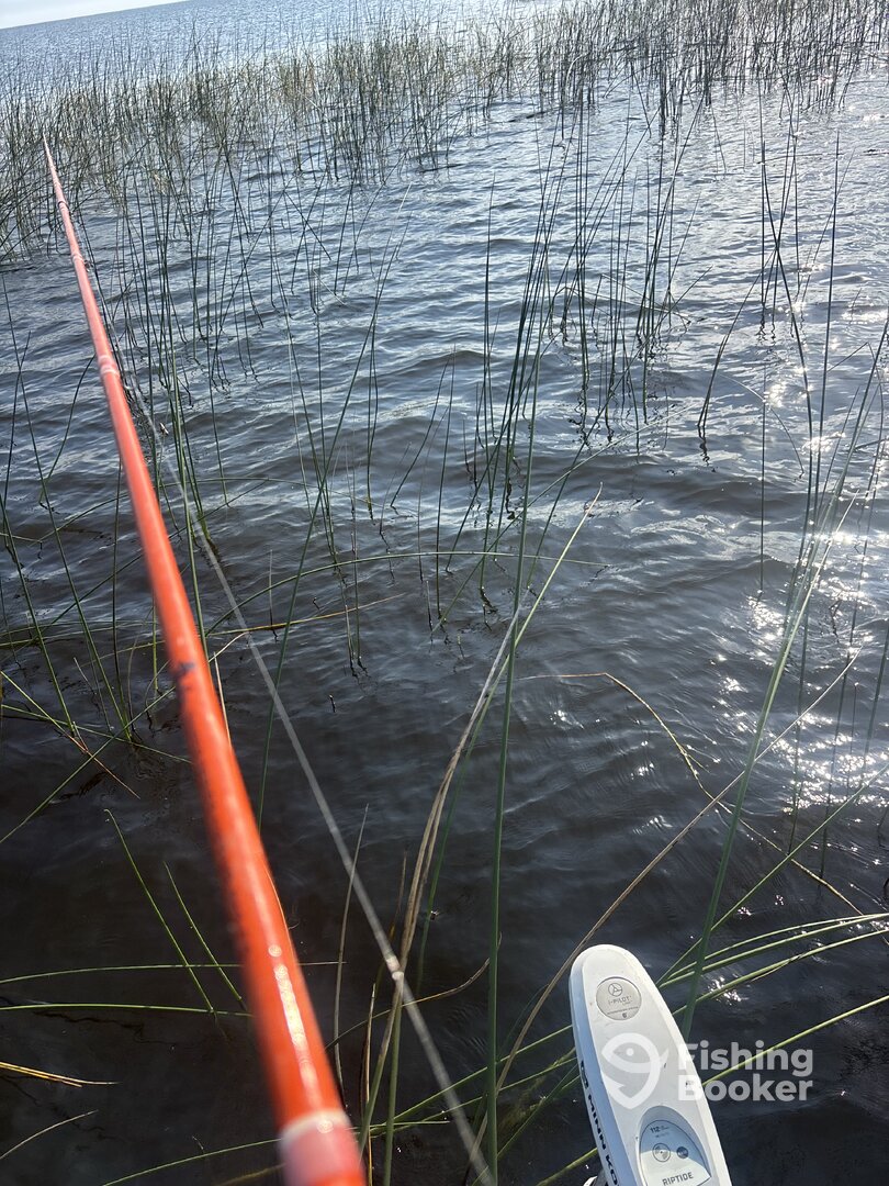 Lake Okeechobee Report Photo 0