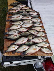 Lake Okeechobee Report Photo 1