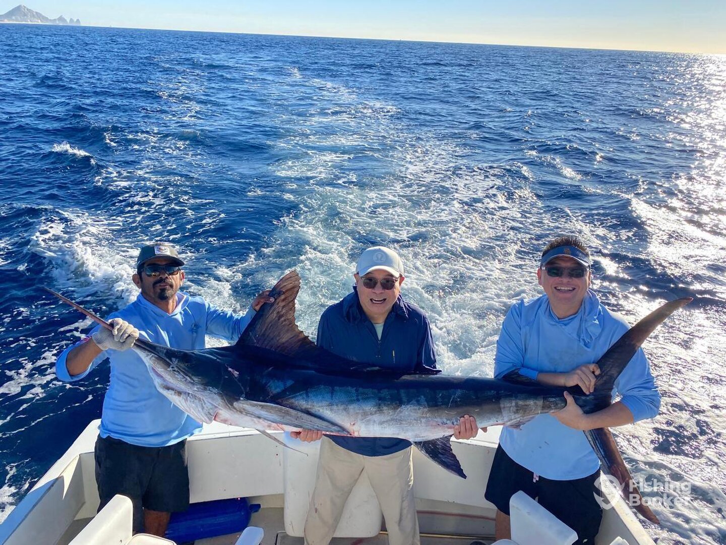 Cabo San Lucas Report Photo 0