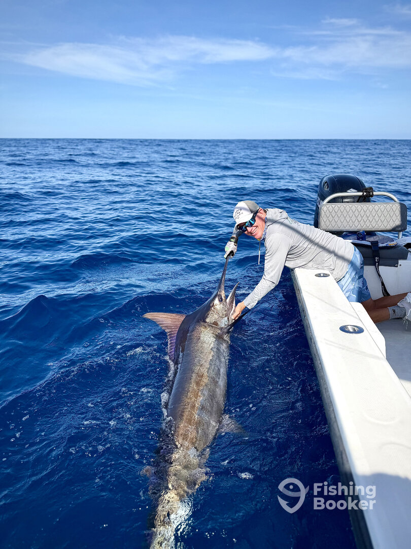 San Juan Report Photo 0