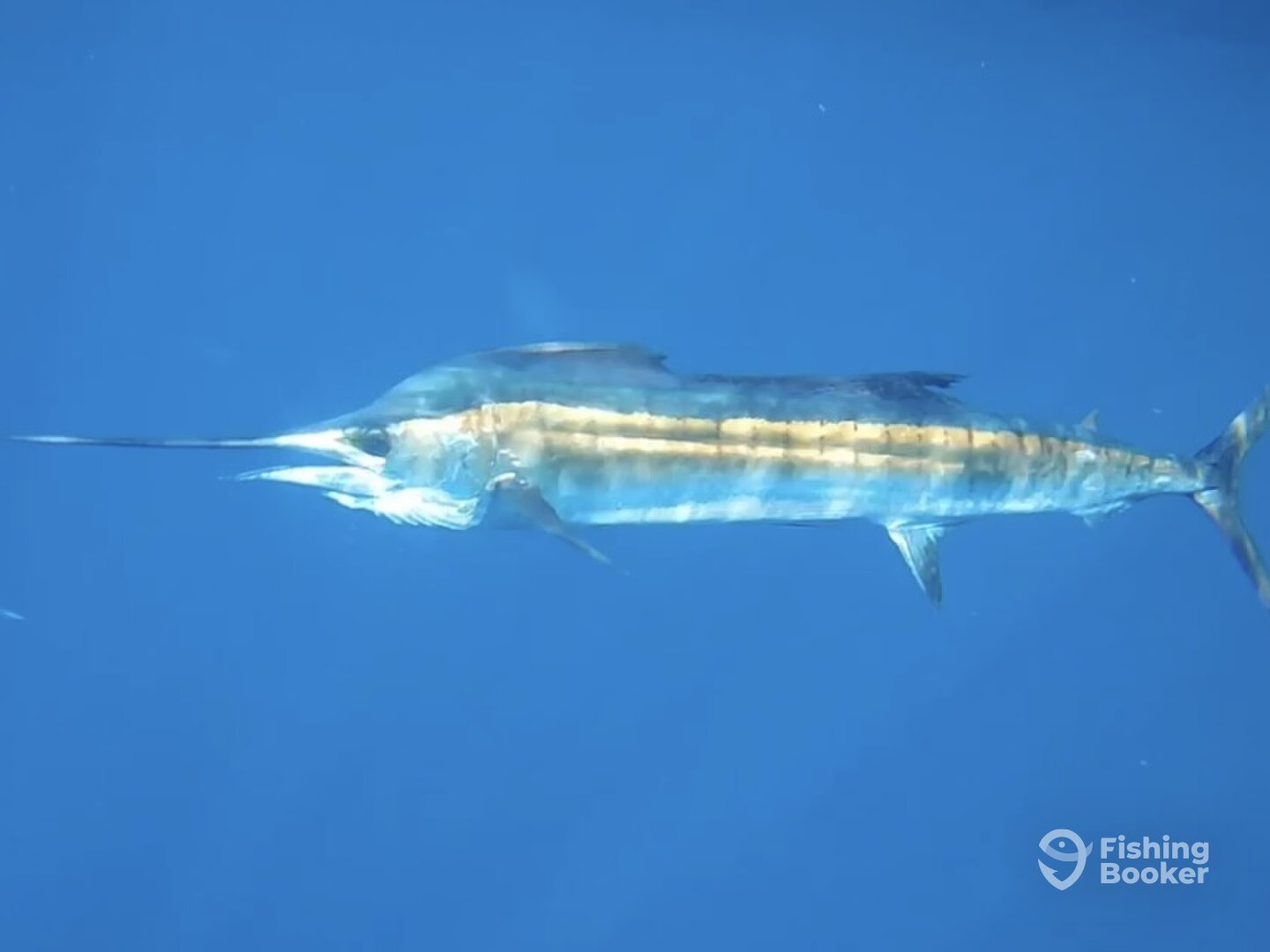 San Juan Report Photo 0