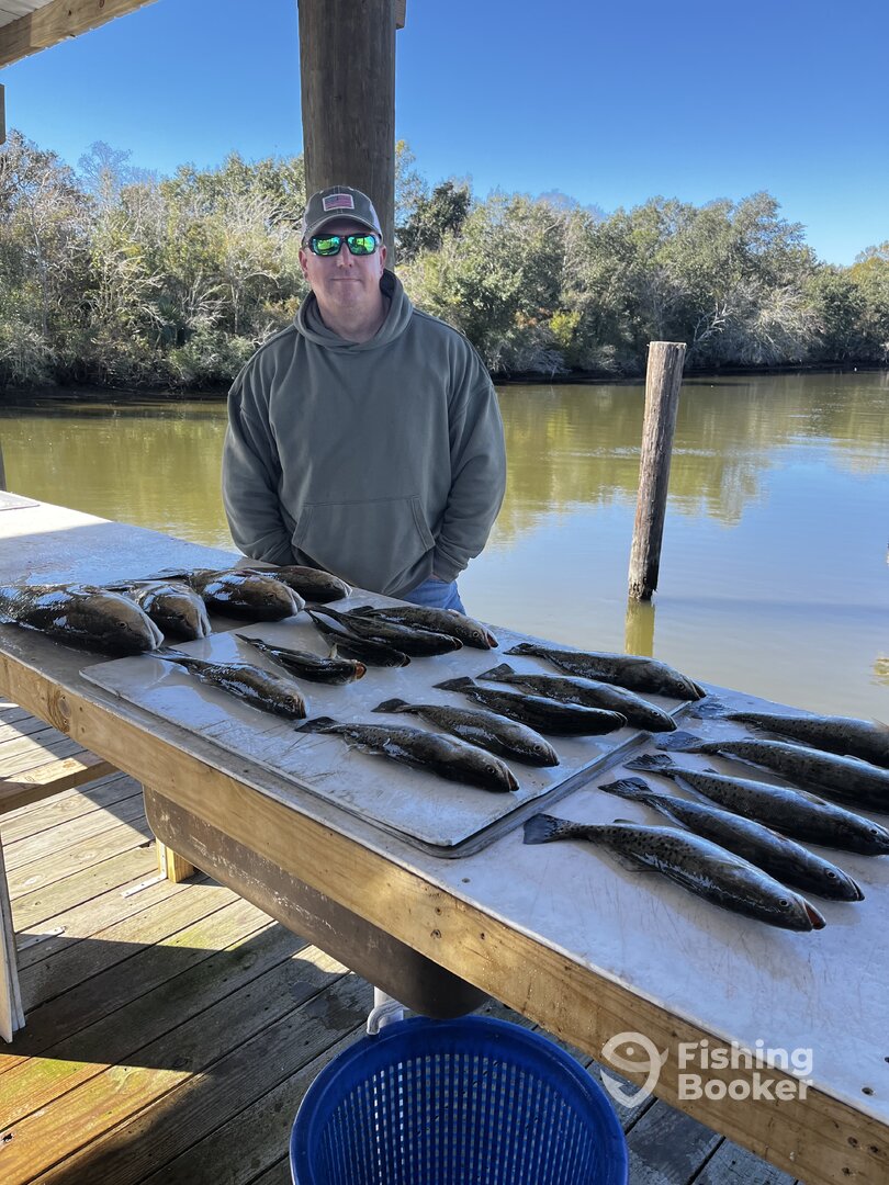 St. Bernard Report Photo 0