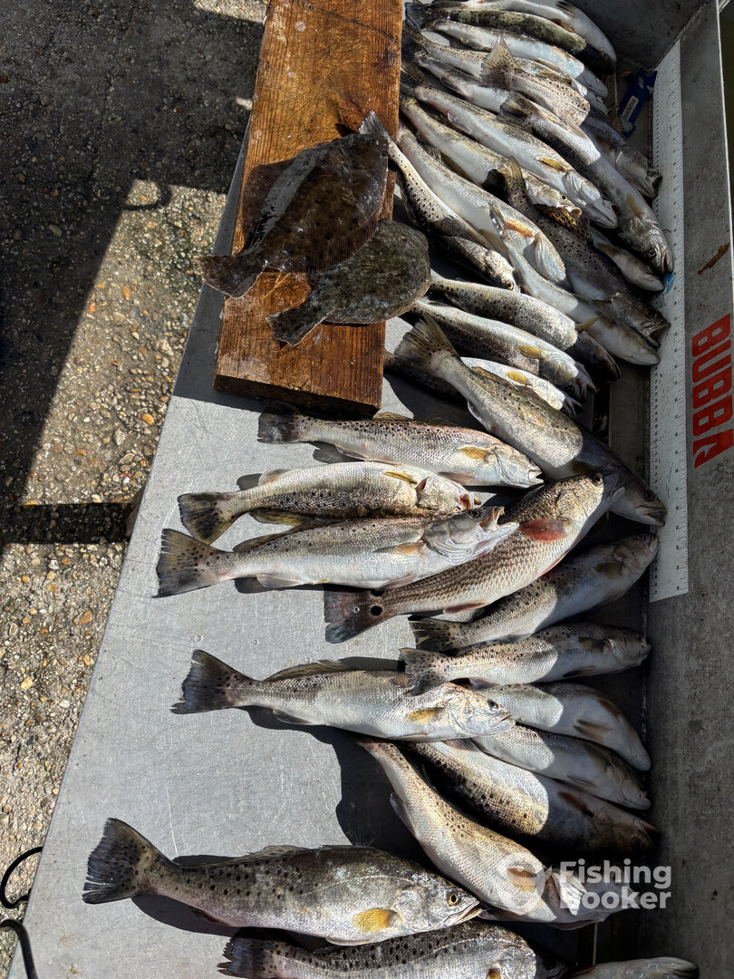 New Orleans Report Photo 0