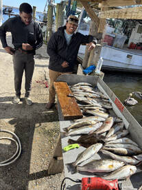 Lake Pontchartrain Report Photo 2
