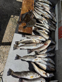 Made some anglers aroud us cery jealous