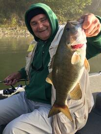 Harding Report Photo 2