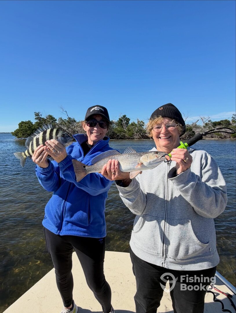 Punta Gorda Report Photo 0