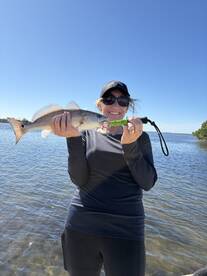 Punta Gorda Report Photo 1