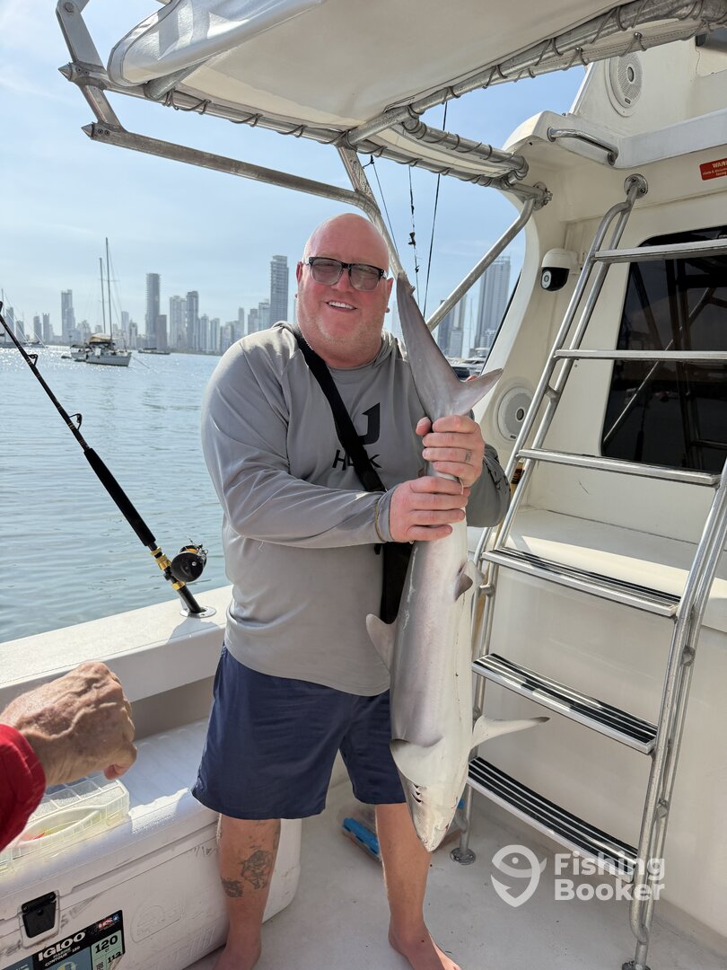 Colombia Report Photo 0