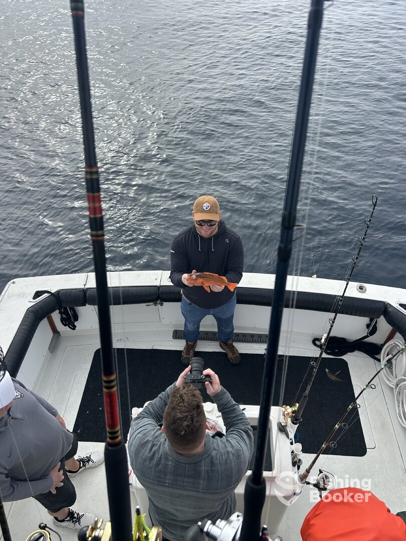 Oceanside Report Photo 0