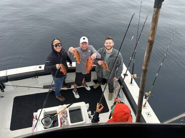 San Diego County Report Photo 3