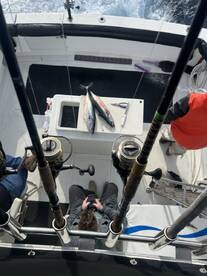 San Diego County Report Photo 2