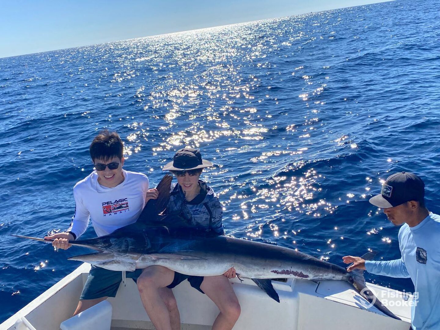 Cabo San Lucas Report Photo 0