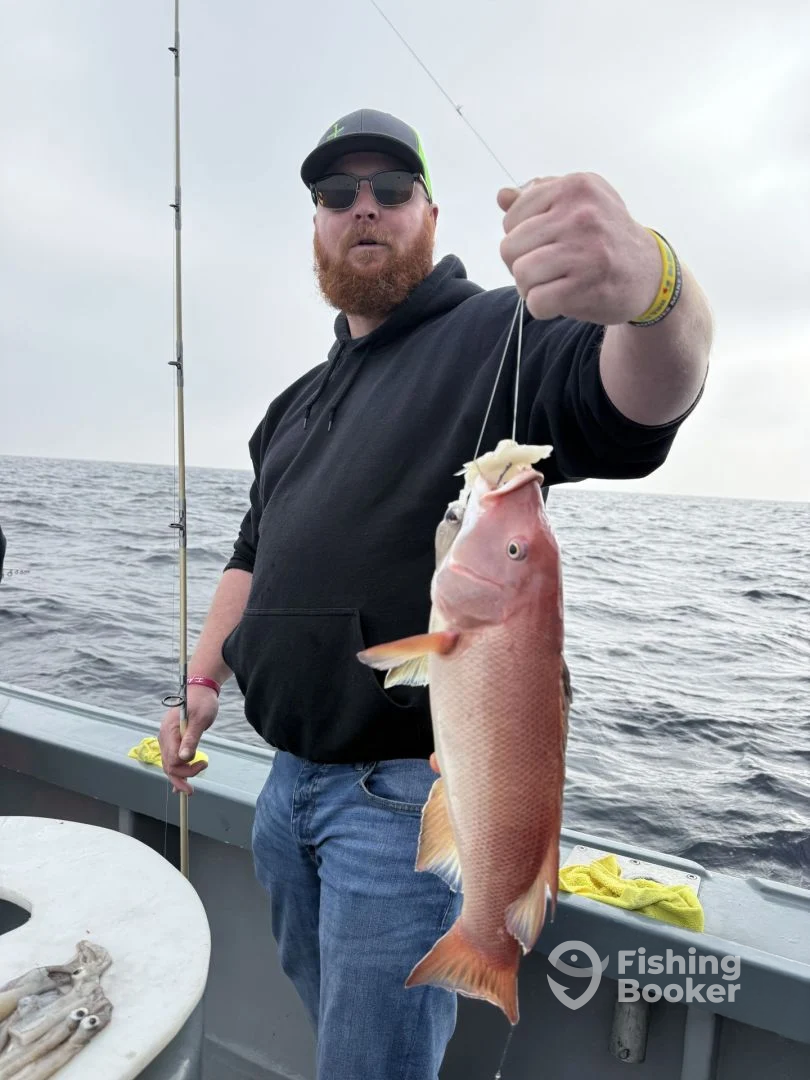 Los Angeles Report Photo 0