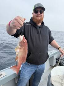 Los Angeles Report Photo 1