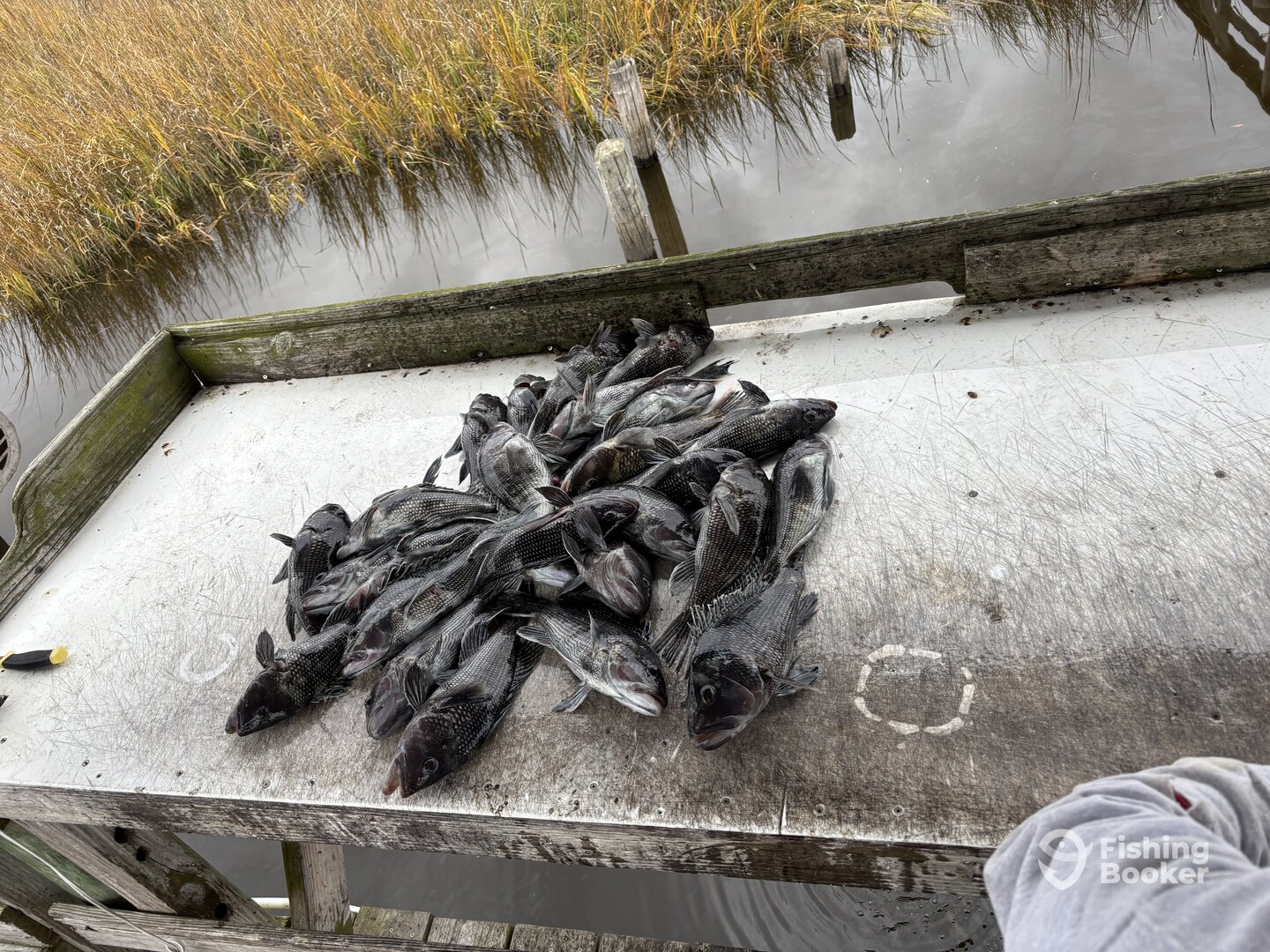 North Carolina Report Photo 0