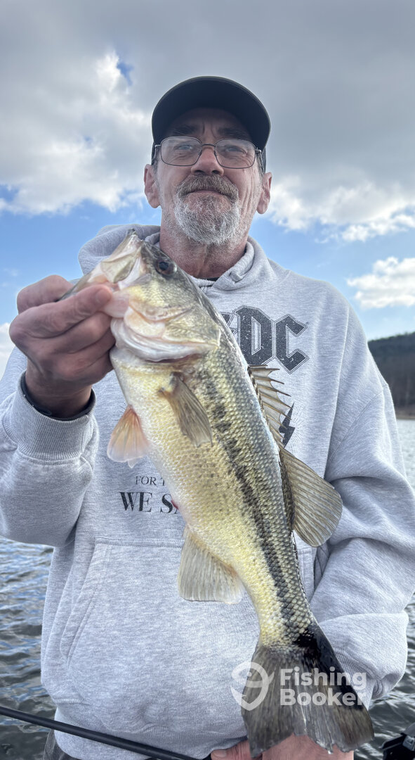 Branson Report Photo 0