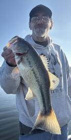 Branson Report Photo 2