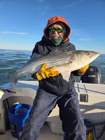 Ocean City Report Photo 2