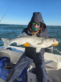 Assawoman Bay Report Photo 2