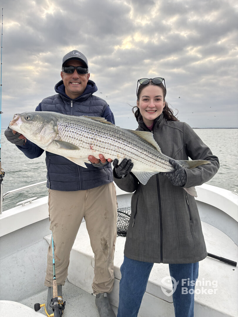 New York City Report Photo 0