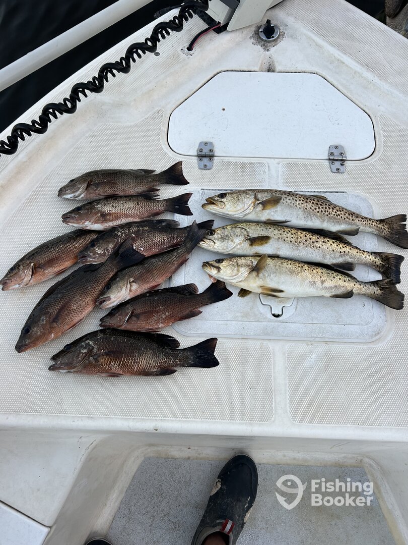 Punta Gorda Report Photo 0