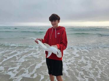 Santa Rosa Beach Report Photo 1