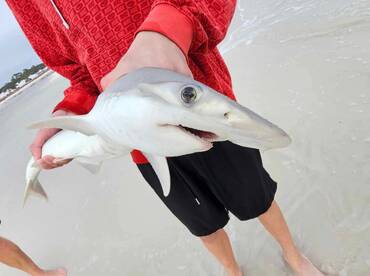 Santa Rosa Beach Report Photo 2