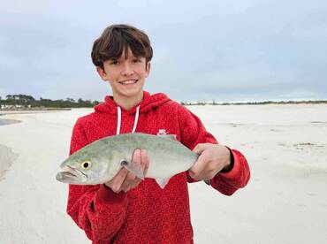 Multi species afternoon