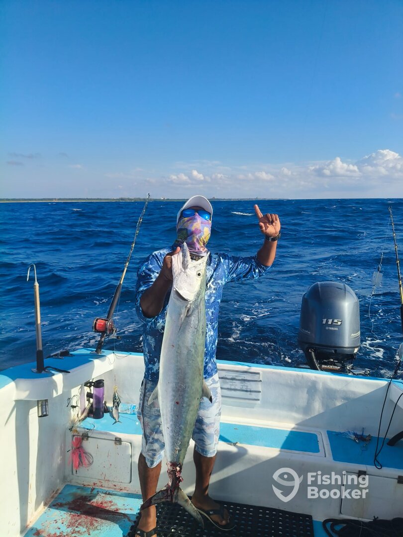 Playa Del Carmen Report Photo 0