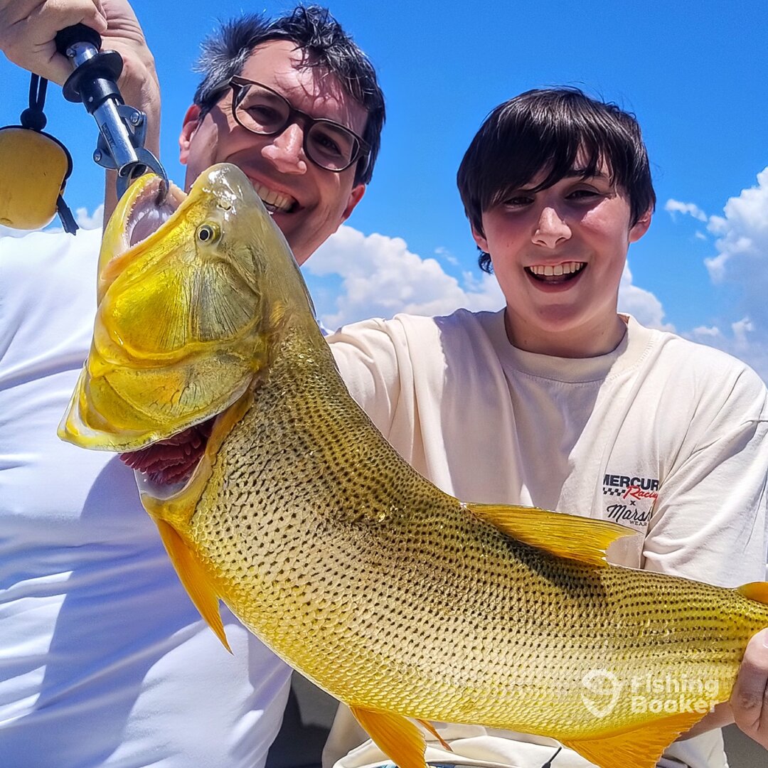 Tigre Report Photo 0