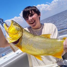 Tigre Report Photo 2