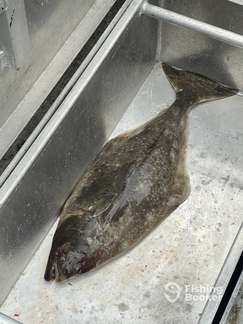 Sooke Report Photo 0