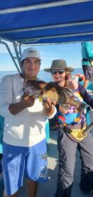 Loreto Report Photo 1