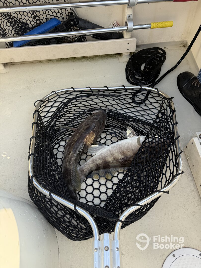 San Diego County Report Photo 0