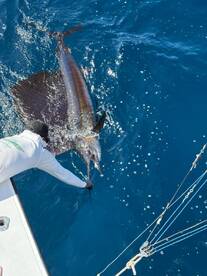 Christmas has oficially Started