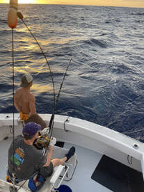 Kewalo Basin Harbor Report Photo 3