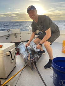 Honolulu Report Photo 2