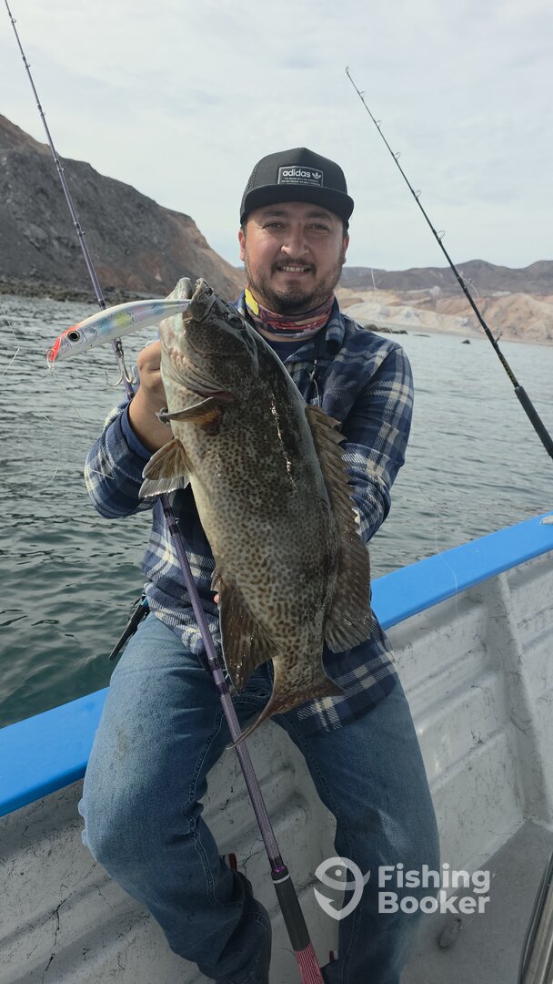 Baja California Report Photo 0