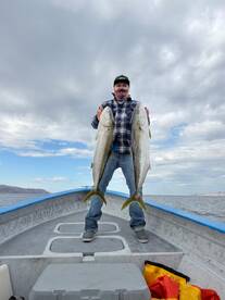 Bahía de los Ángeles Report Photo 2