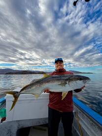 Baja California Report Photo 1