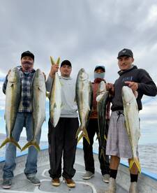 Big Yellows 20-35 lbs